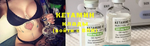 шишки Беломорск