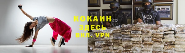 стаф Балахна