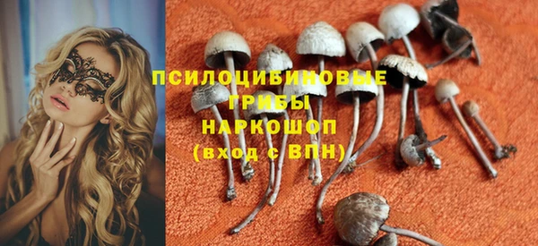 сатива Баксан