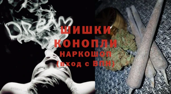 стаф Балахна