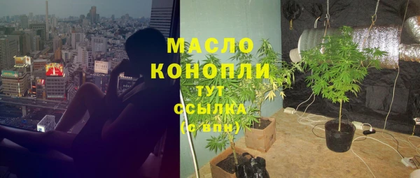 шишки Беломорск